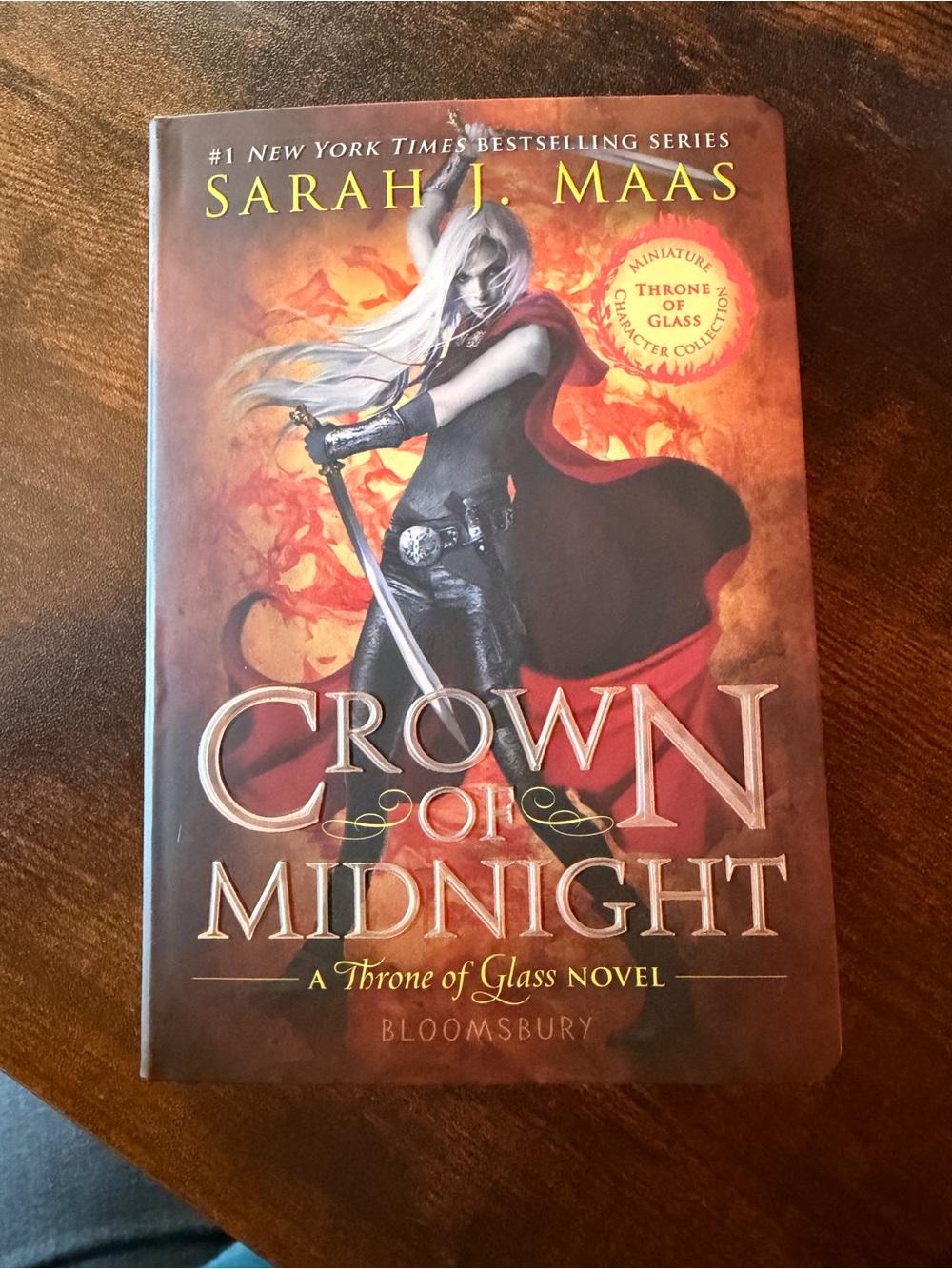Crown of Midnight Throne of Glass Mini Character Collection Novel Out of Print